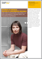 SAP Business One información detallada