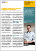 SAP Business One información resumida